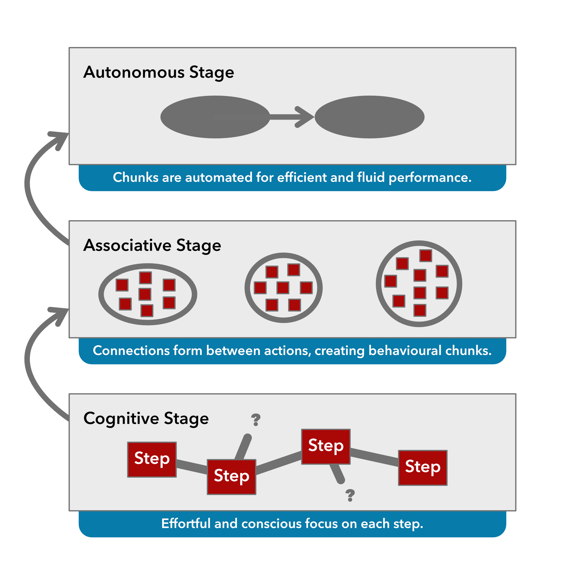 The diagram illustrates the stages of skill acquisition as proposed by Fitts and Posner (1967) . In the cognitive stage, learners focus on fragmented individual steps. In the associative stage, repeated practice and feedback lead to the formation of behavioural chunks, aided by dopamine signalling, which reinforces successful action sequences (Schultz, 1998) . By the autonomous stage, chunks are refined and executed automatically, enabling fluid and efficient performance with minimal conscious effort.